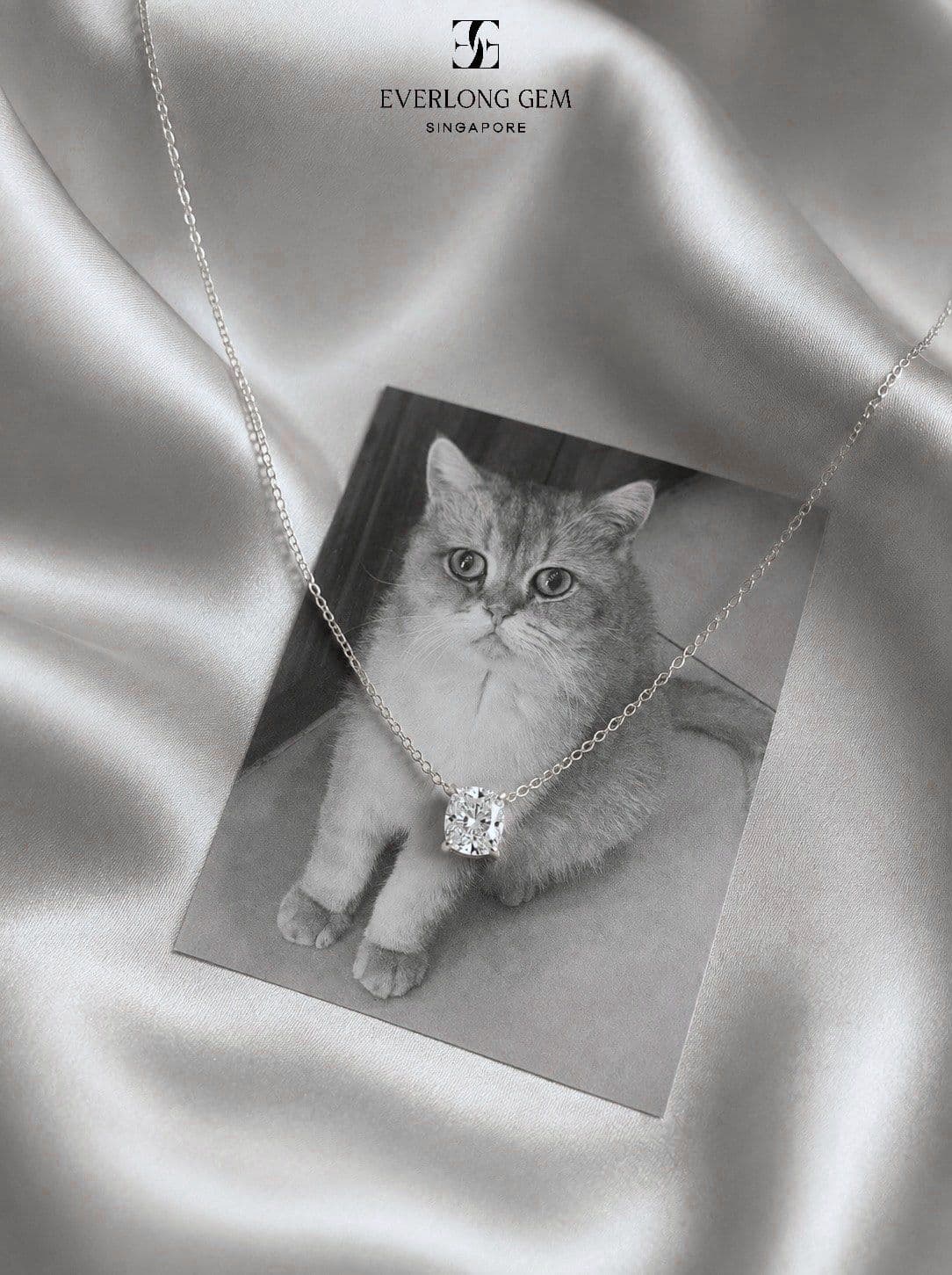 A pet portrait on silk with a diamond pendant resting on it