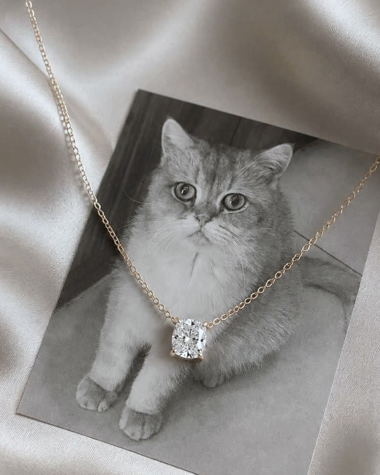 A pet portrait on silk with a diamond pendant resting on it