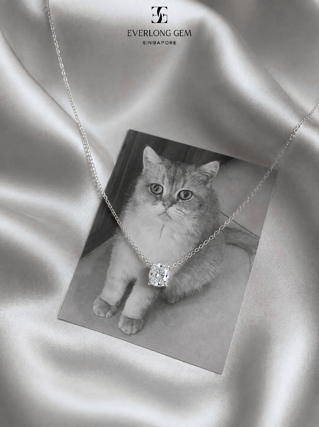 A pet portrait on silk with a diamond pendant resting on it